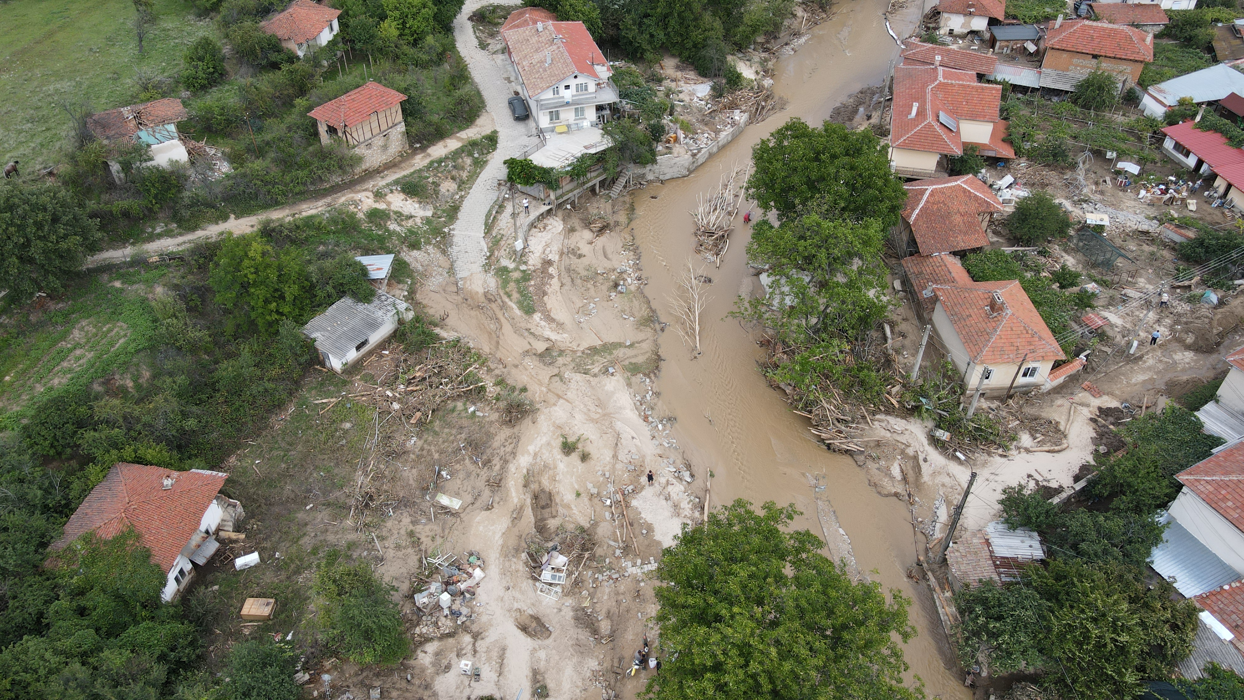 От днес започват проверки за незаконна сеч в горите в Карловско