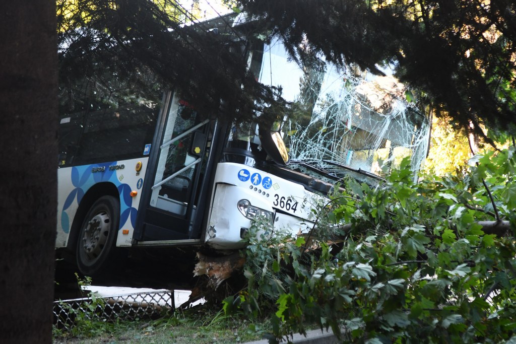 Изписаха две жени и дете, които пострадаха при катастрофата с автобус в София