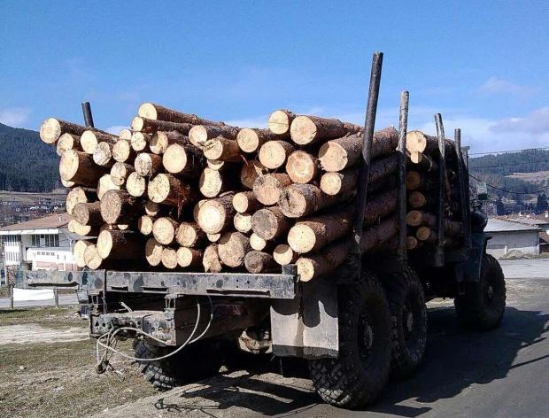 Засякоха камион, превозващ 8 кубика крадени дърва
