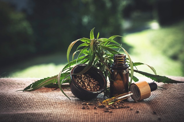Какво е CBD масло – ползи и странични ефекти