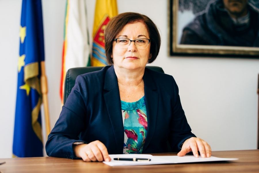 Донка Михайлова: Има риск от дървени ваканции през зимата