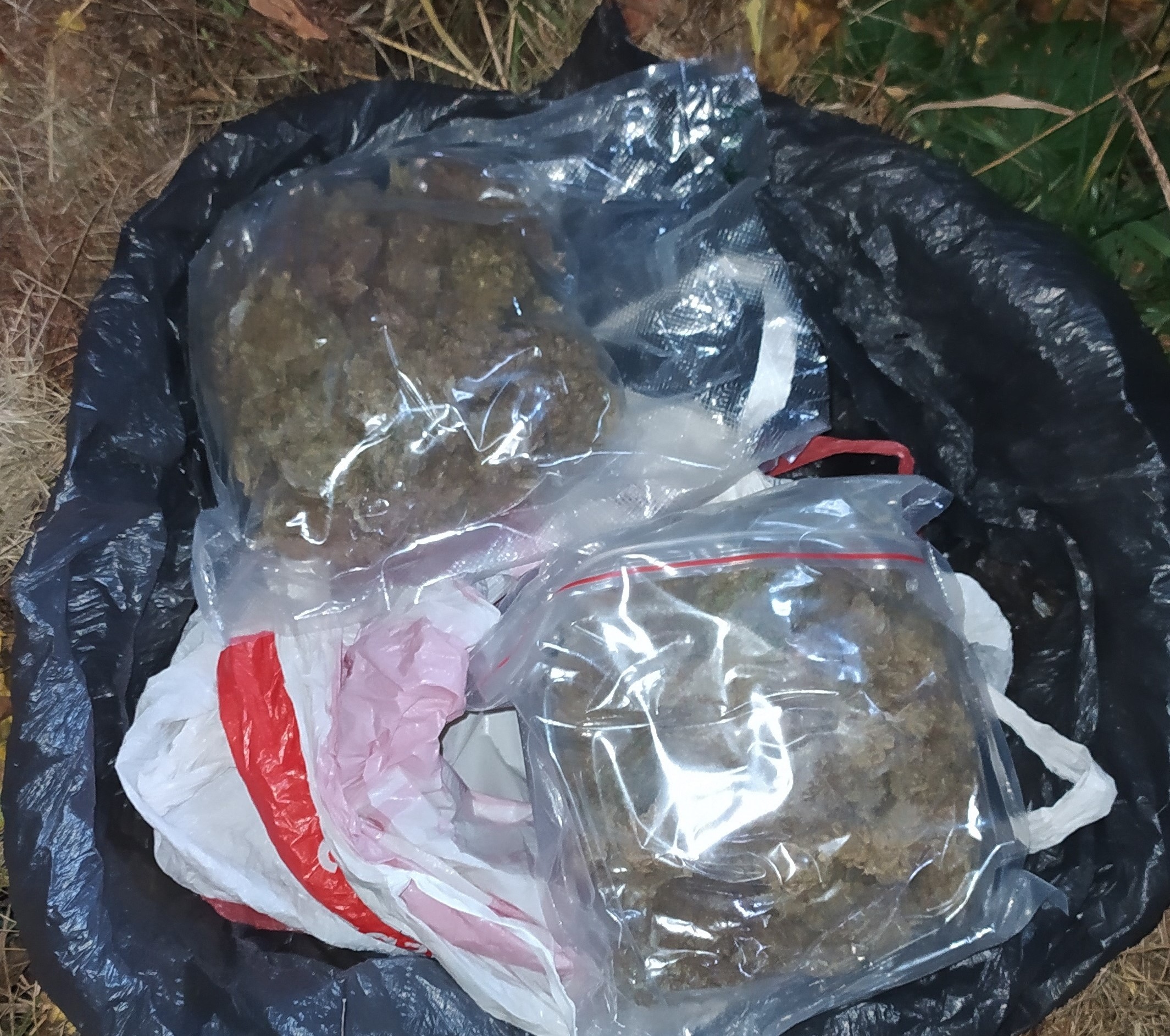 Откриха голямо количество наркотици при спецакция в Пернишко (СНИМКИ)