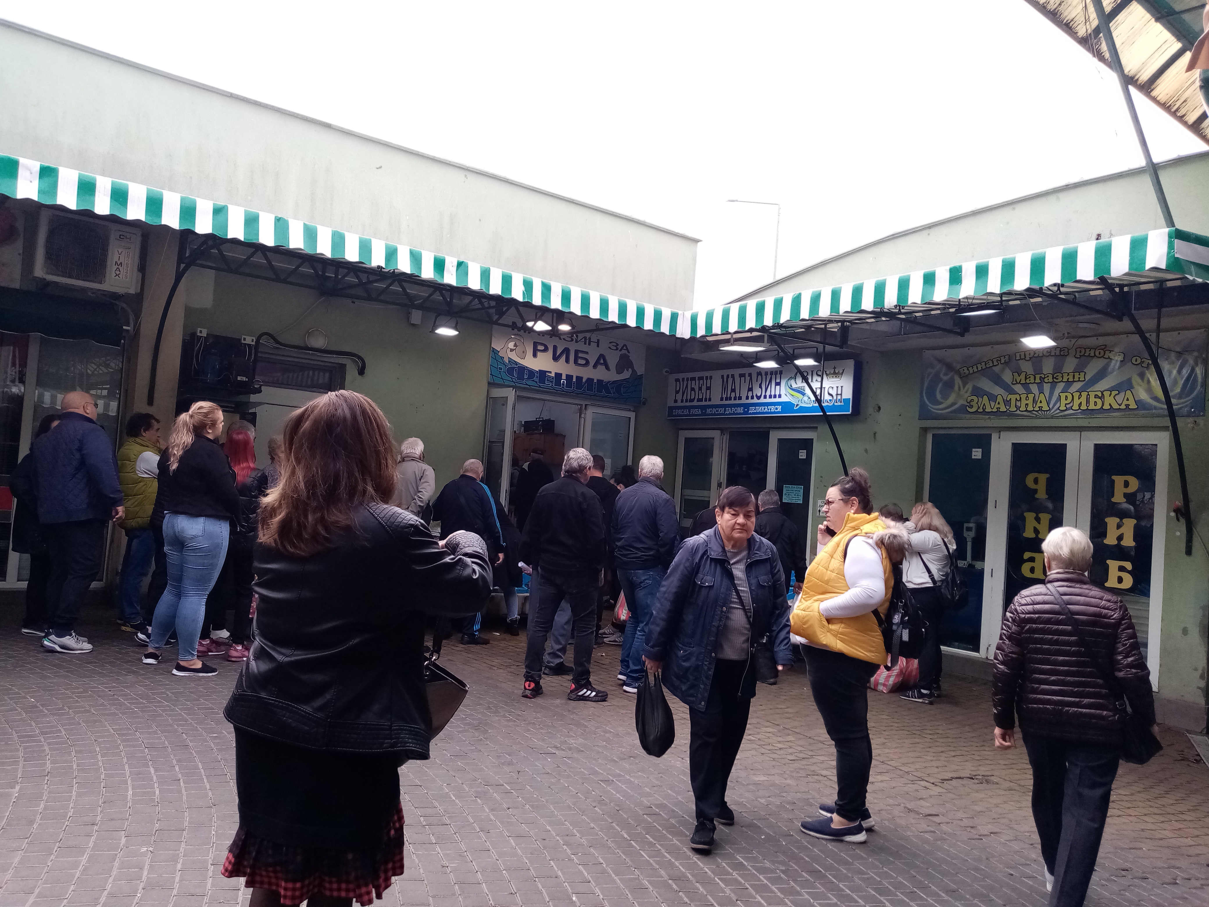 Опашки за чернокоп по 8 лева