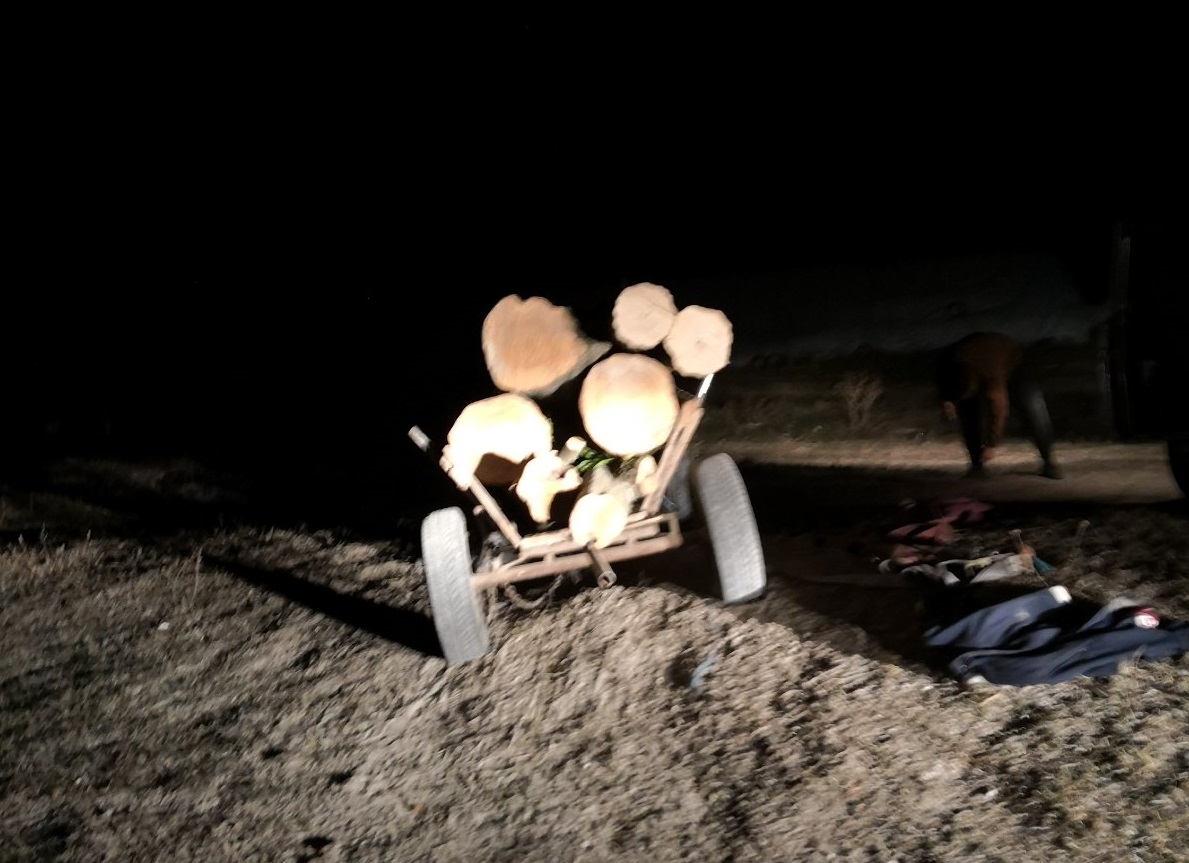 Задържаха четирима бракониери