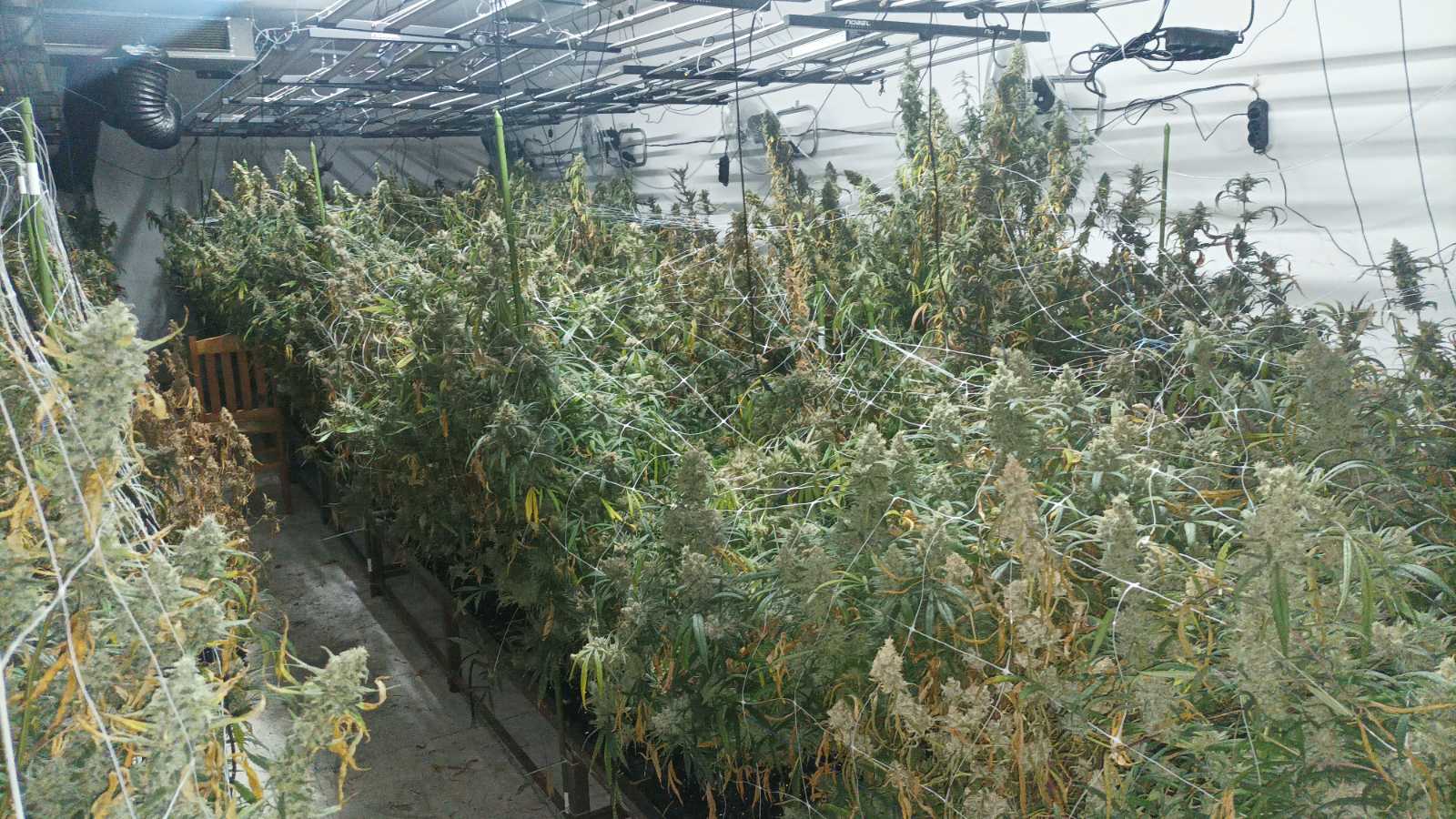 Разкриха високотехнологична наркооранжерия (СНИМКИ)