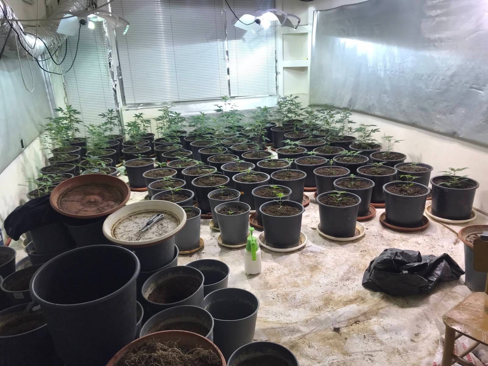 Трима мъже и една жена са арестувани във Варна при акция "Бяло", разпоредена от Гешев