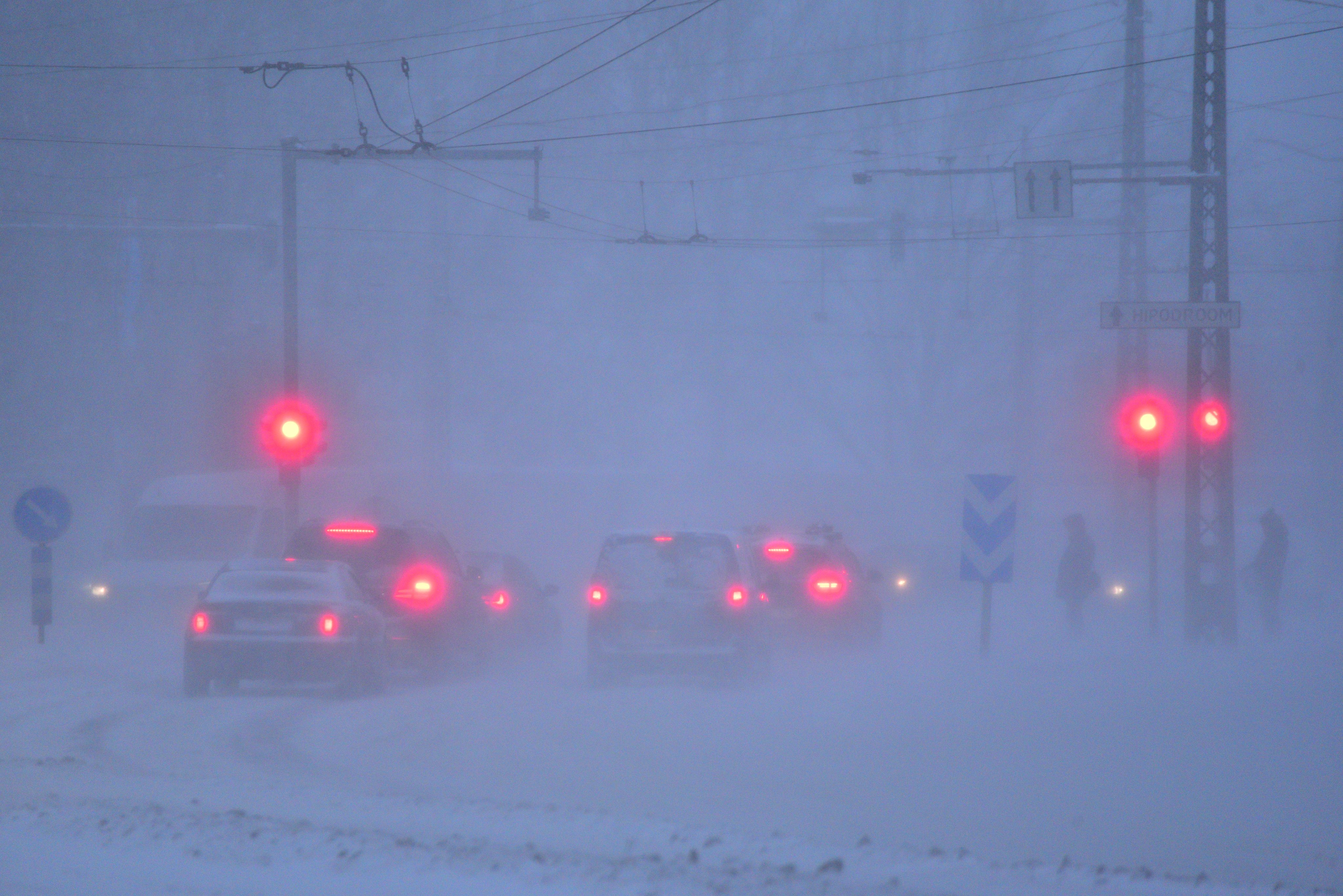 Снежна буря остави десетки хиляди без ток в Естония