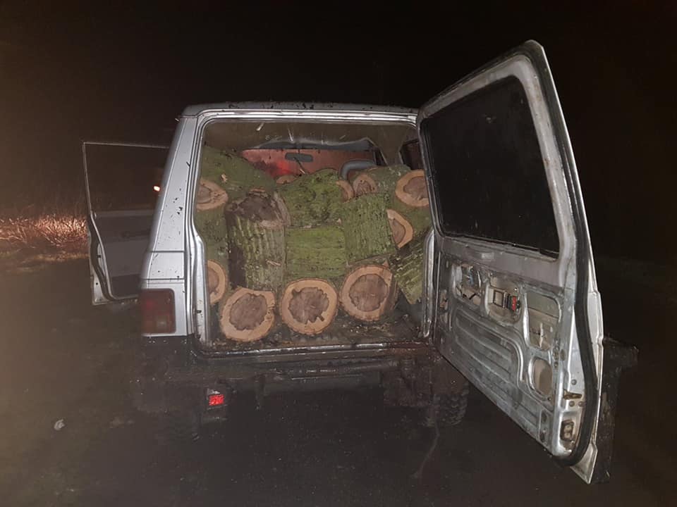 Горски конфискуваха 4 коли и каруци