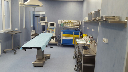 9 лекари се борили 3 часа да спасят живота на родилката и бебето й във Велинград