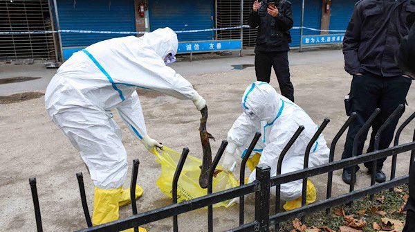 Китай съобщи за близо 13 000 нови смъртни случая, свързани с ковид