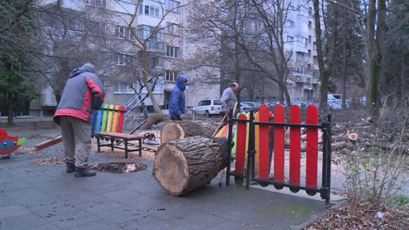 Голямо дърво падна върху детска площадка в София