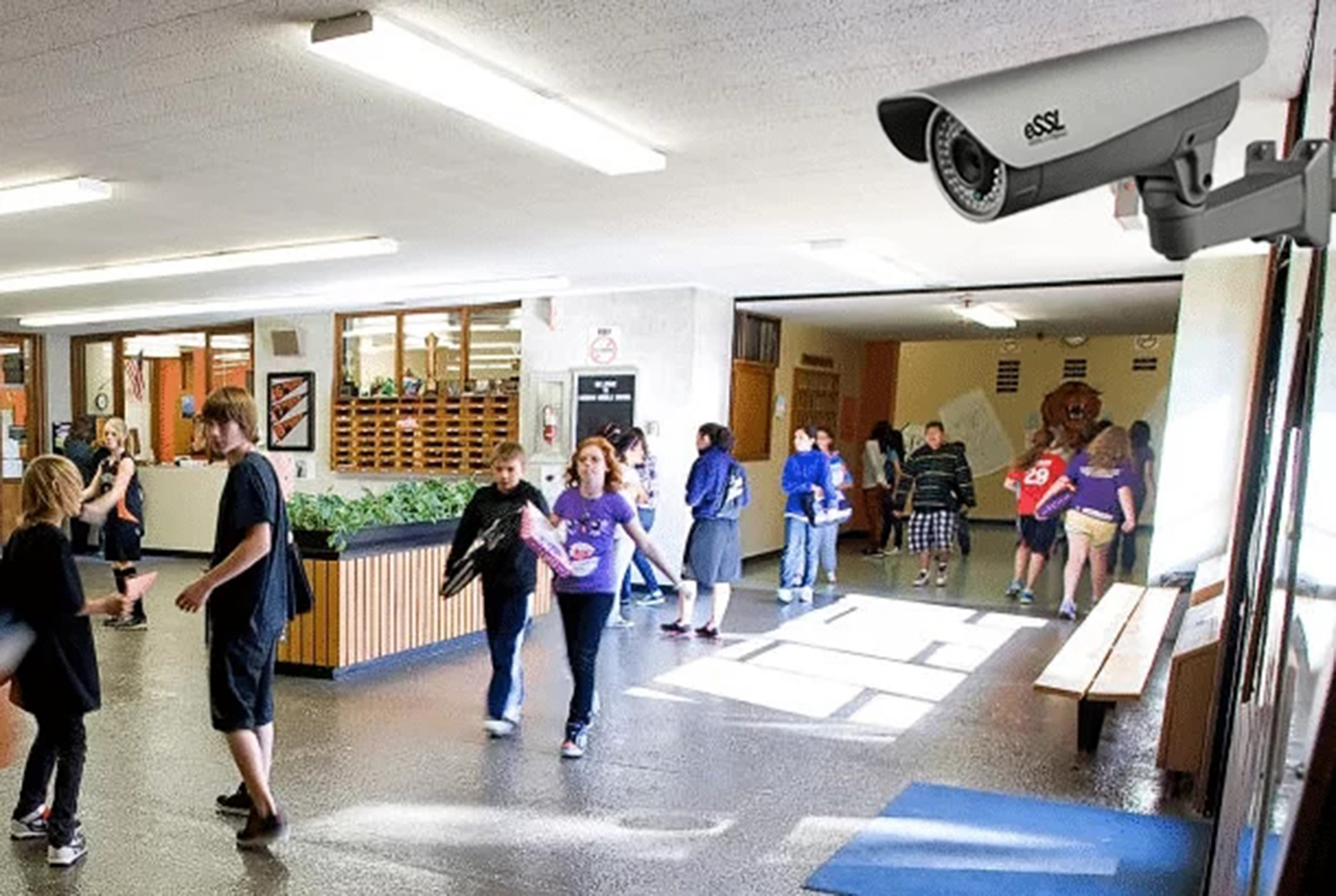 Схеми за измами с видеото на изборите