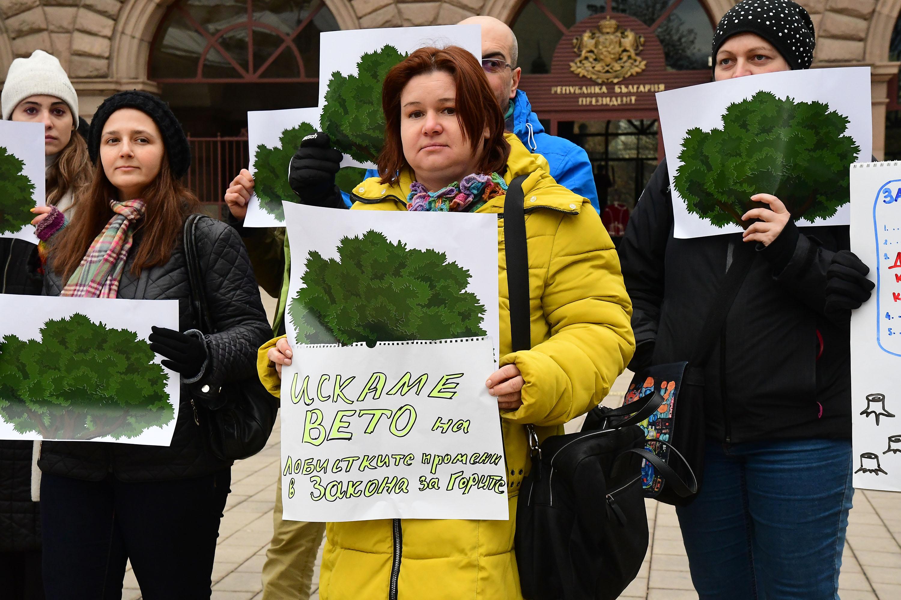 Природозащитници искат президентът да наложи частично вето на промените в Закона за горите (СНИМКИ)