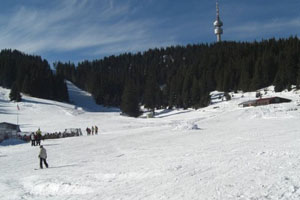 16-годишен скиор пострада след удар в дърво в Пампорово