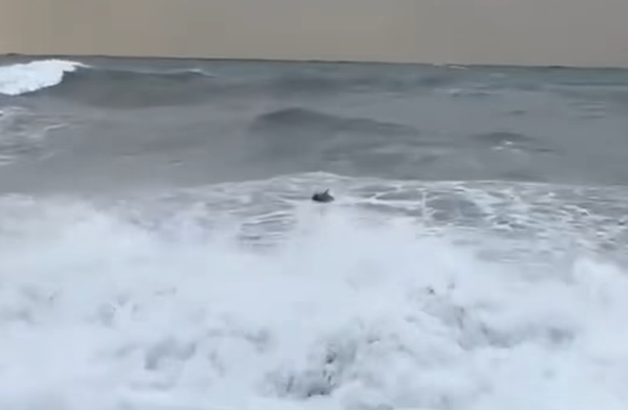 Морска мина се взриви на брега на Черно море в грузинския град Батуми (ВИДЕО)