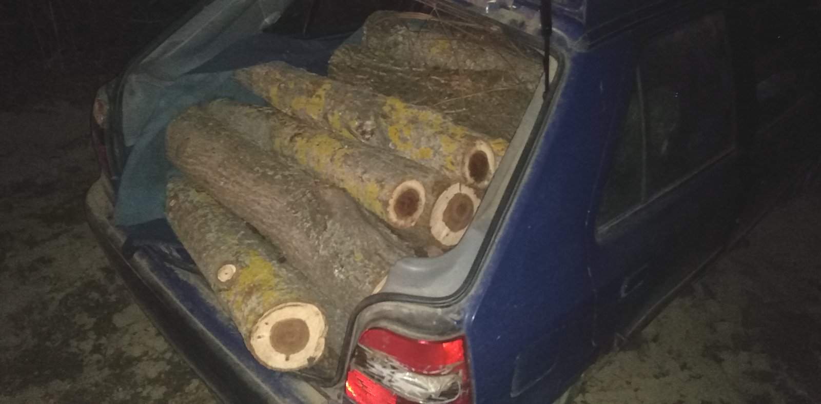 Горски и полицаи преследваха крадци на дърва