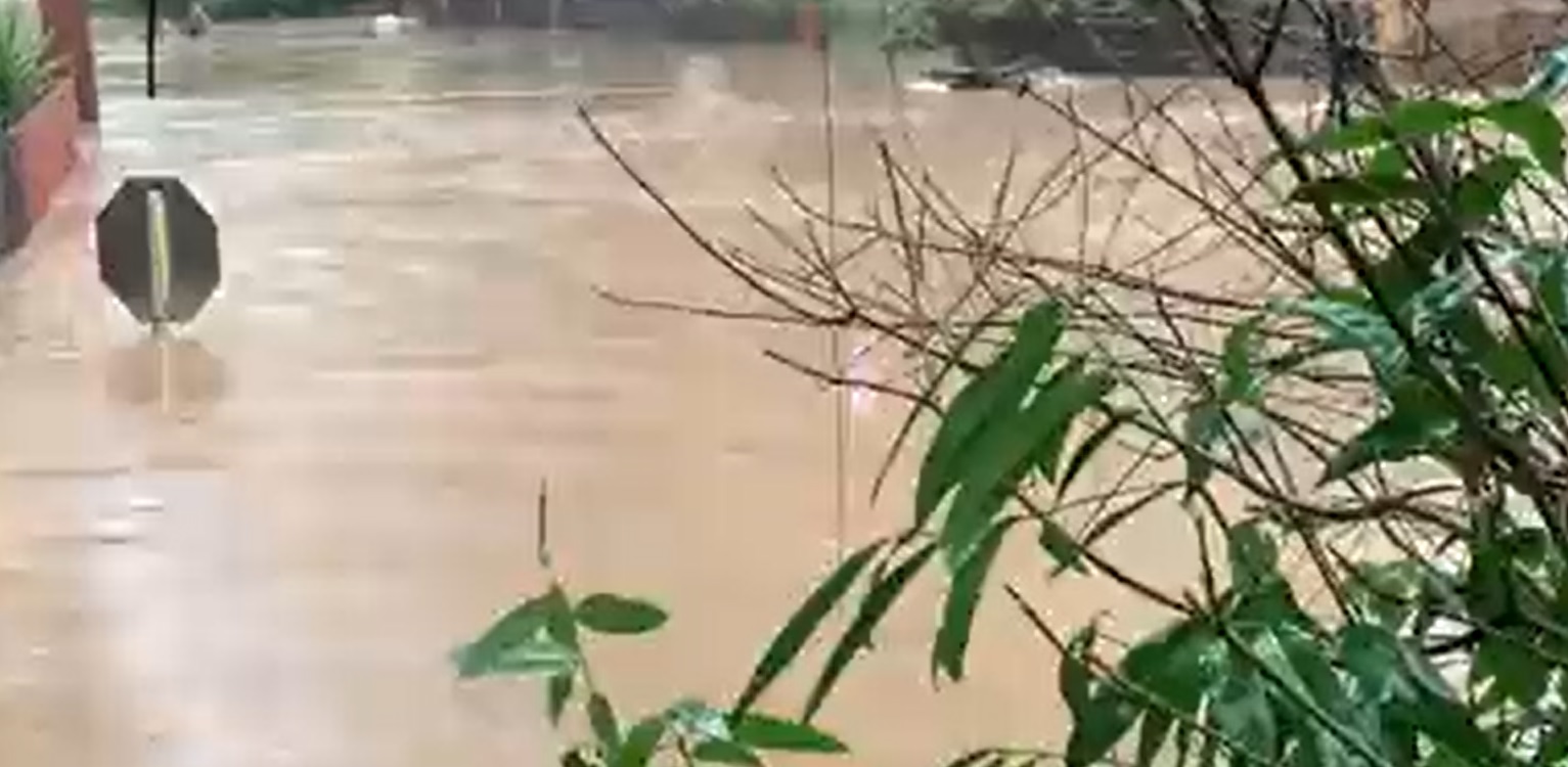 Най-малко 36 души са загинали при тежки наводнения и свлачища в Бразилия