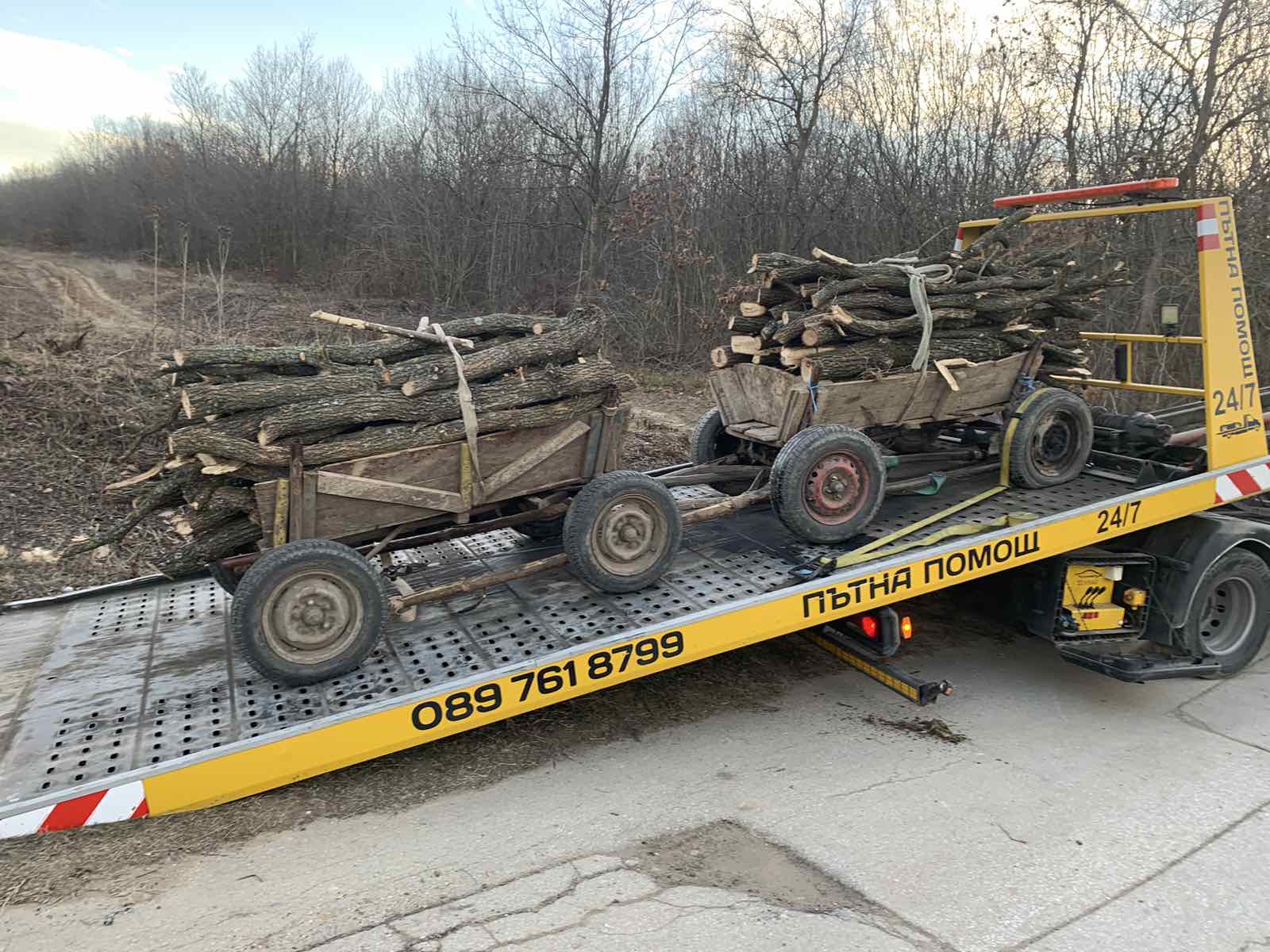 Заловиха бракониери рецидивисти с две каруци крадени дърва