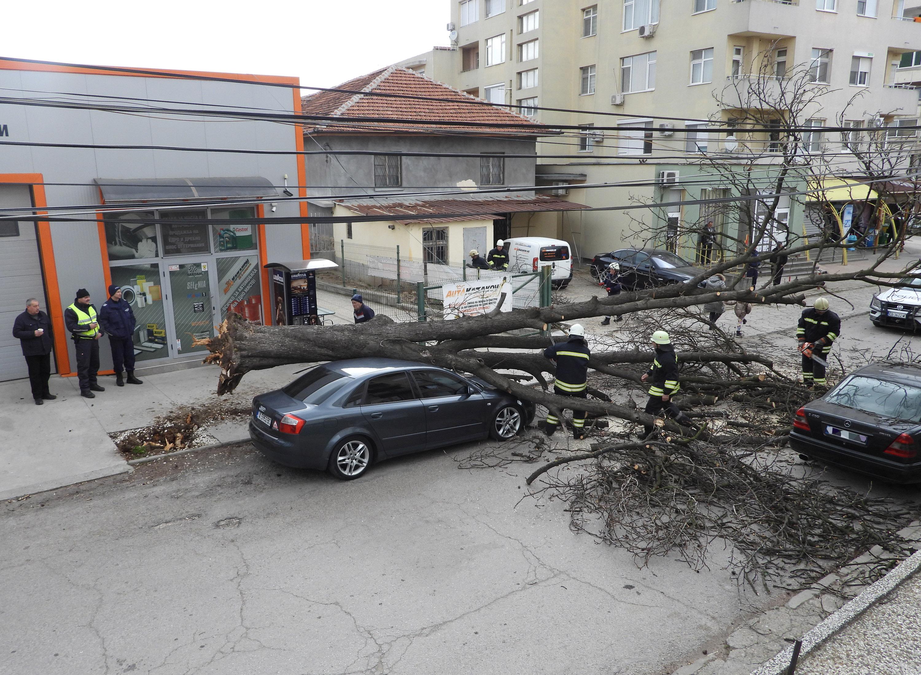 Дърво падна върху автомобил в Харманли, младеж се спаси по чудо (СНИМКИ)