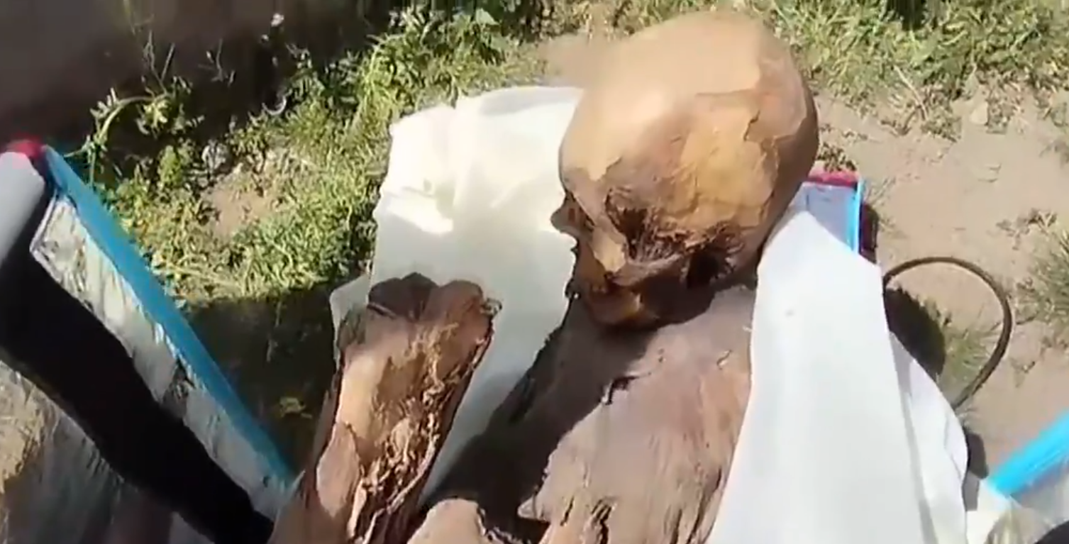 Полицията в Перу откри мумия в хладилна чанта на доставчик (ВИДЕО)