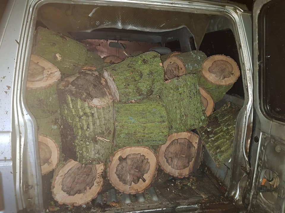 За месец горски конфискуваха 15 коли и каруци