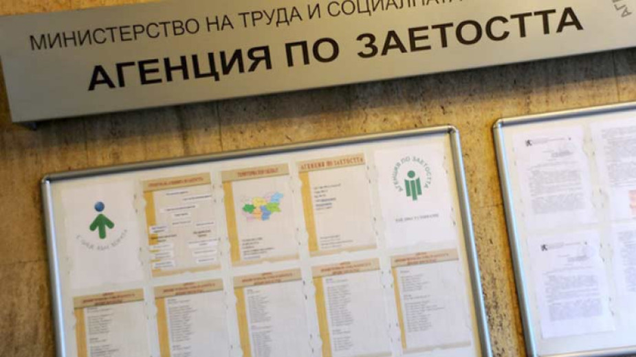11 519 са обявените свободни работни места в Агенцията по заетостта