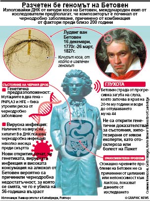 Разчетен бе геномът на Бетовен (ИНФОГРАФИКА)