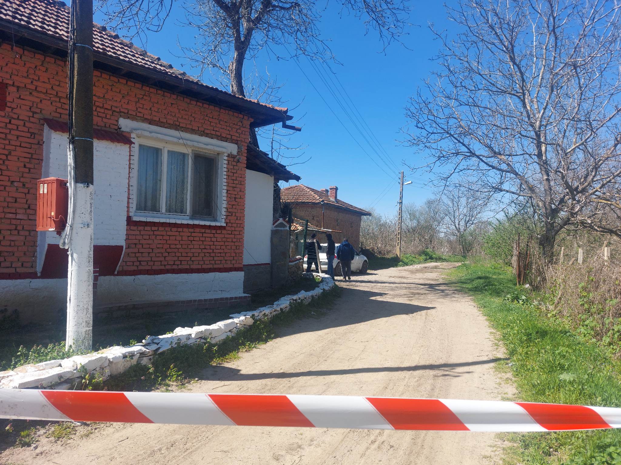 Бездомни кучета разкъсаха жена в Долна Оряховица