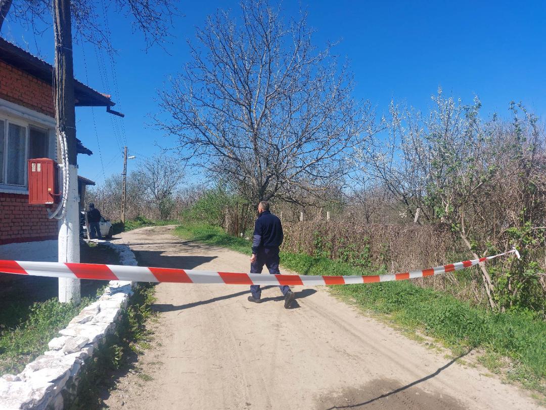 Бездомни кучета убиха санитарка на улицата (обзор)