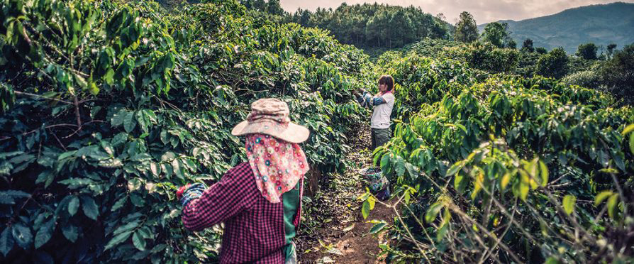 ОЛАФ: 11 тона пестициди са задържани в България