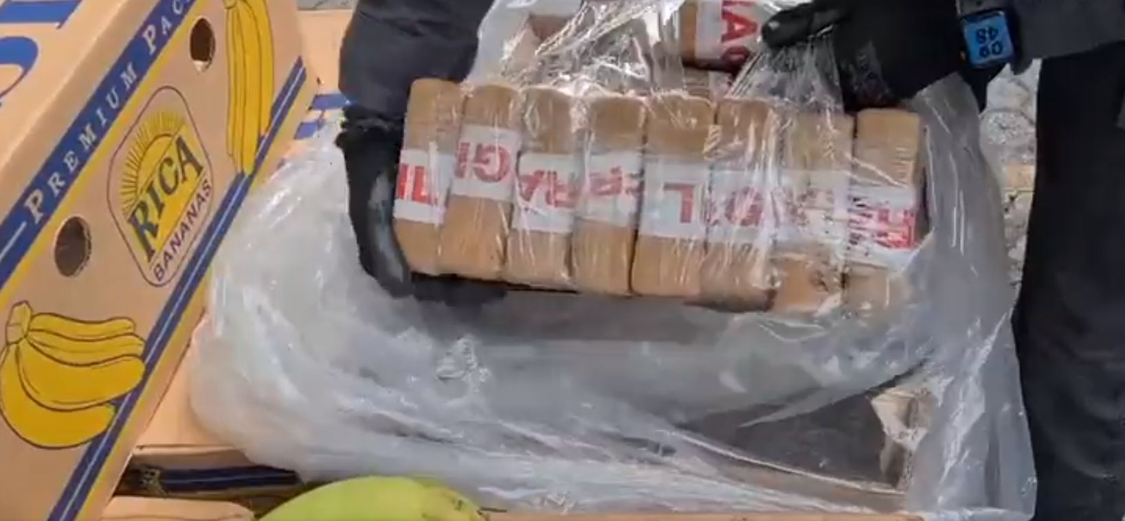 Близо 3 тона кокаин хванати в Калабрия (обзор)