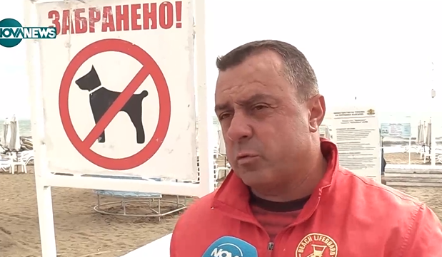 Концесионер: По охраняеми ни плажове е забранено да се разхождат домашни любимци