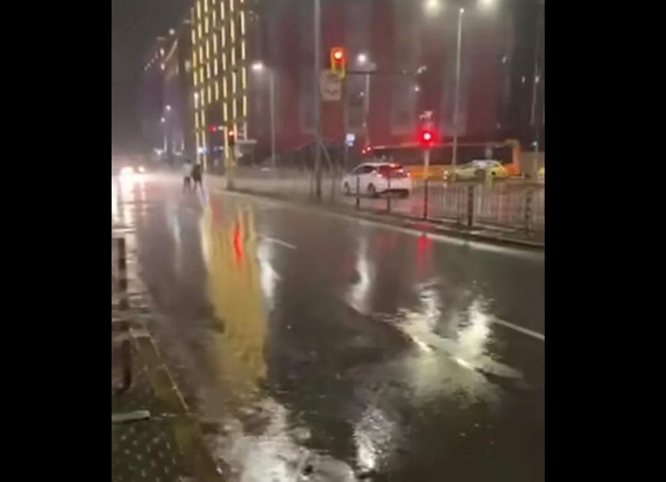 Над 120 сигнала след проливния дъжд в София (СНИМКИ)