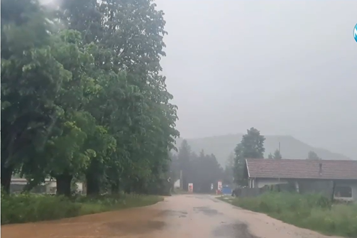 Сигнализират за незаконна сеч в гората край Етрополе