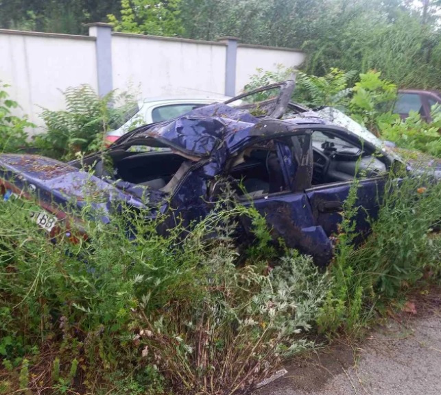 Две деца загинаха при удар в дърво (обзор)