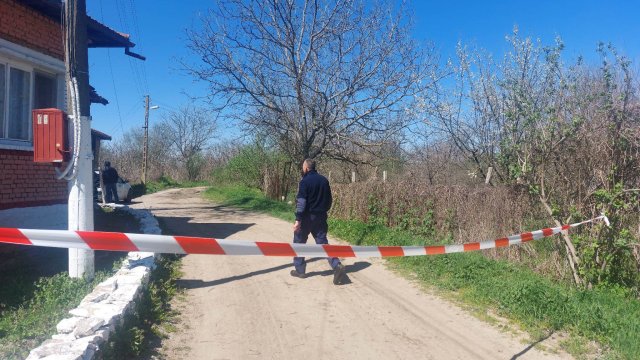 Близки на разкъсана от кучета санитарка от Долна Оряховица искат близо половин милион кръвнина