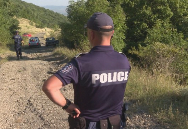 11 арестувани от мрежа за крадени автомобили (обзор)