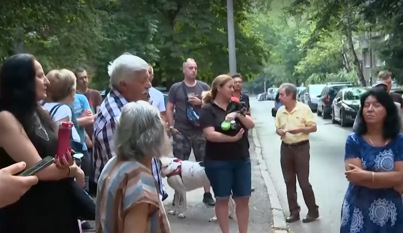 Недоволство в столичния район "Красно село" заради изсичането на дървета