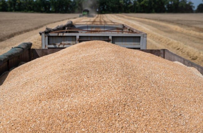 България и още четири държави искат ЕС да удължи забраната за внос на зърно от Украйна