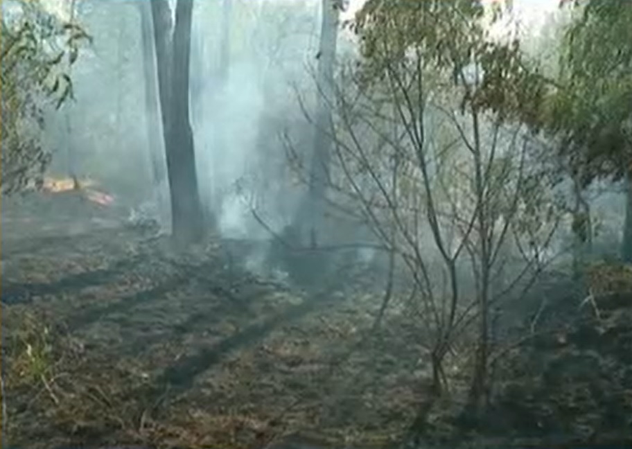 Комбайн причинил пожара край Пловдив