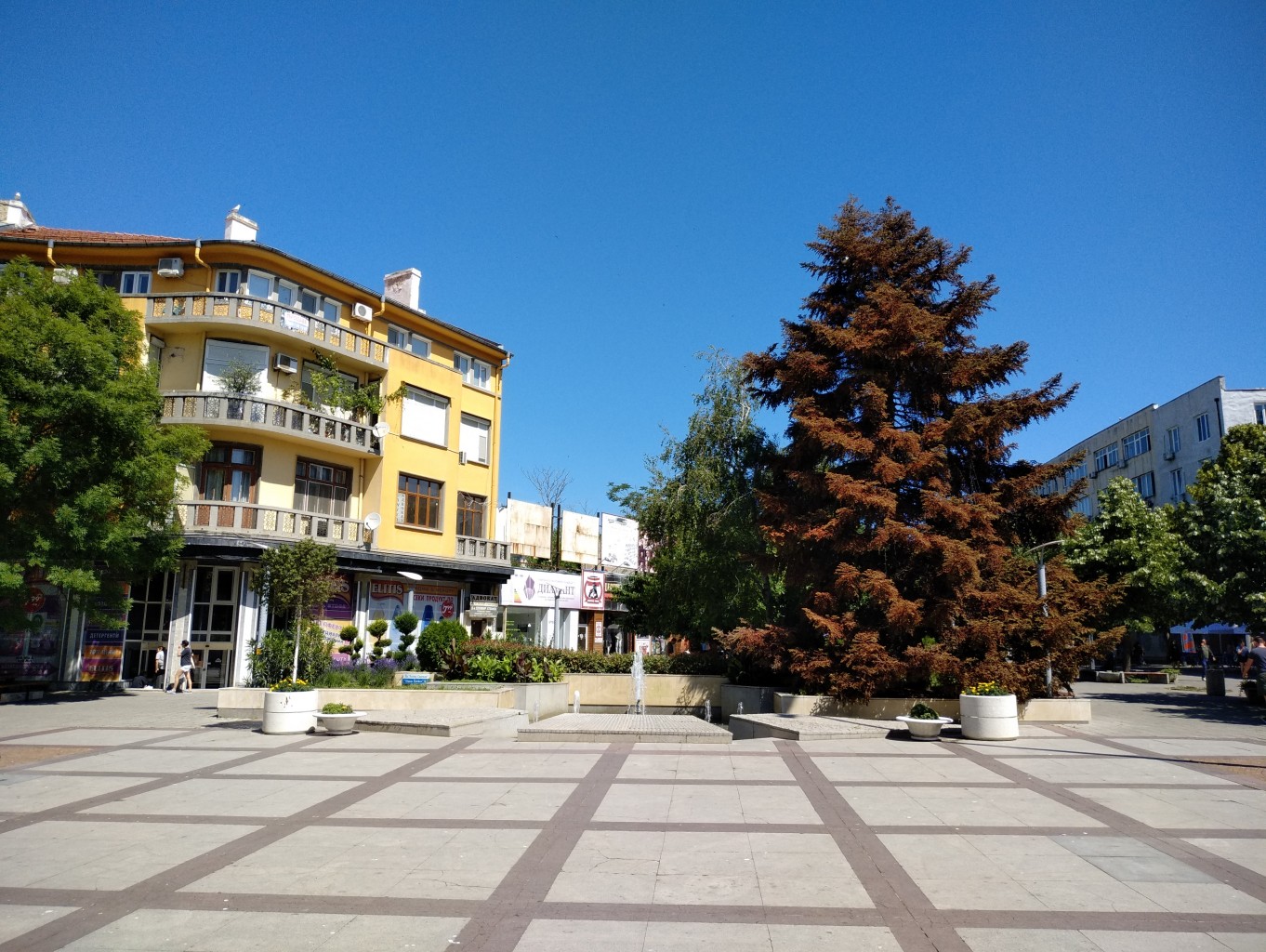 Жегата уби елхата на Бургас