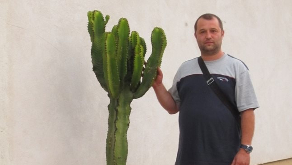 "Искат ме в затвора за 80 години": Българин е заплашен от екстрадиране в САЩ, изпращал незаконно чипове в Русия