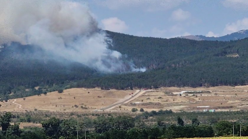 Боровата гора гори до складовете на Арсенал: Пожарът се разраства