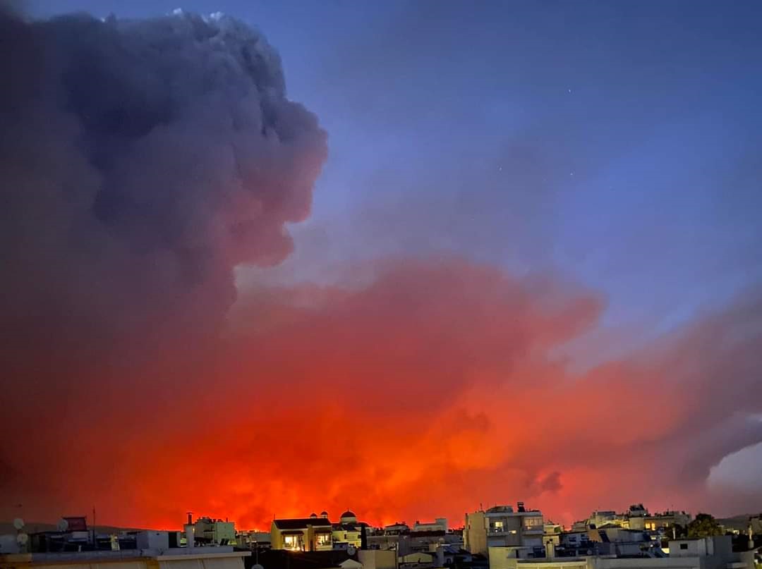 Общо 27 души са загинали при опустошителния пожар край гръцкия град Александруполис (СНИМКИ и ВИДЕО)