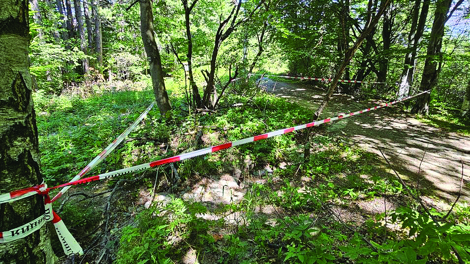 Експерт: 10% е вероятността да се стигне до поръчителя на убийството на Алексей Петров