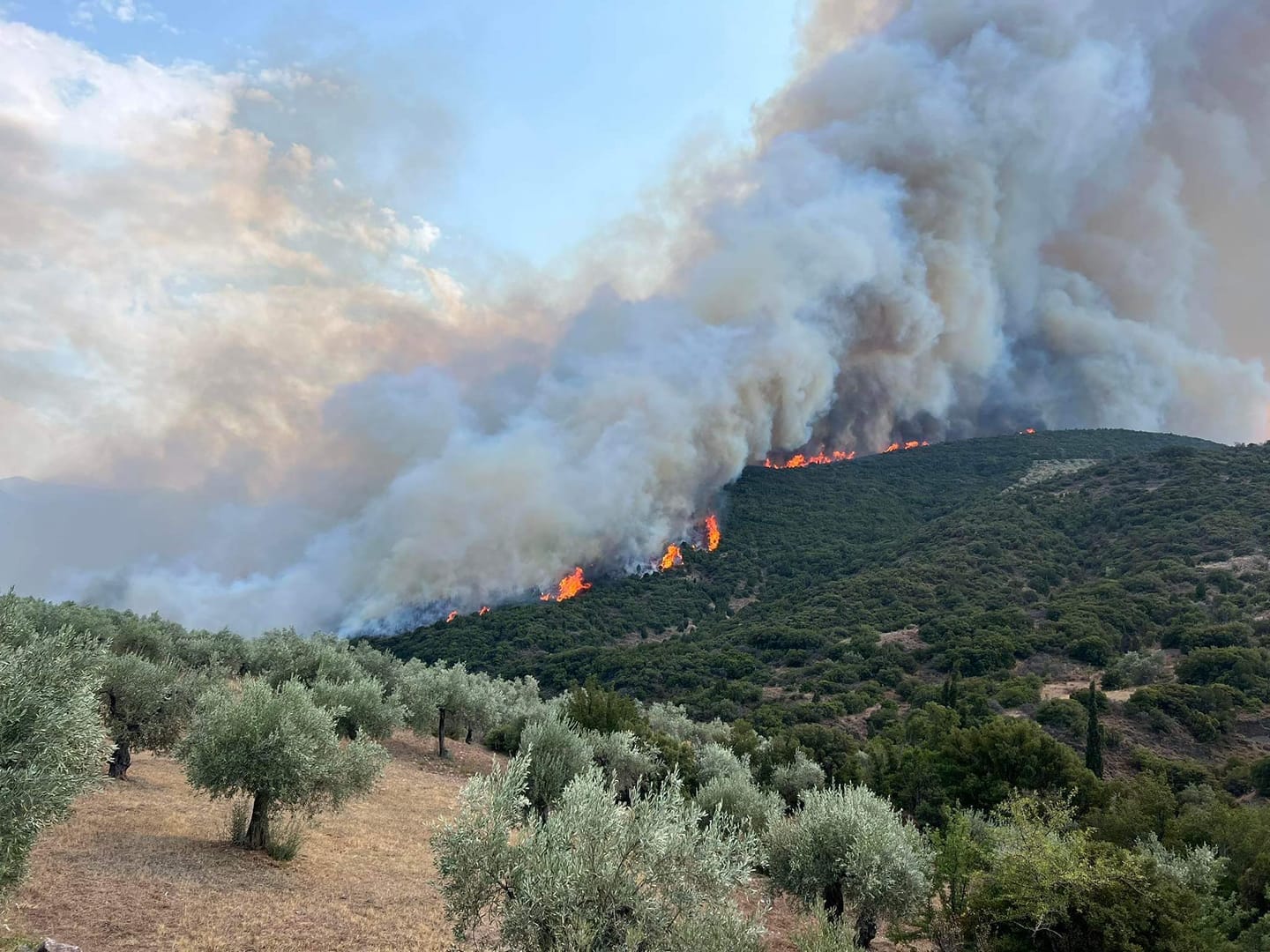 МВнР предупреждава: Ветровете ще усложнят борбата с пожарите в близост до българската граница