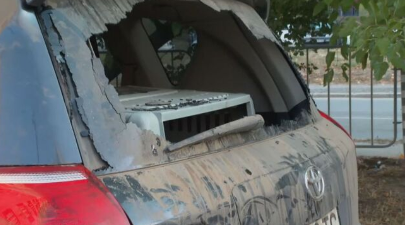 Две кучета се задушиха, след като бяха оставени цяла нощ в автомобил