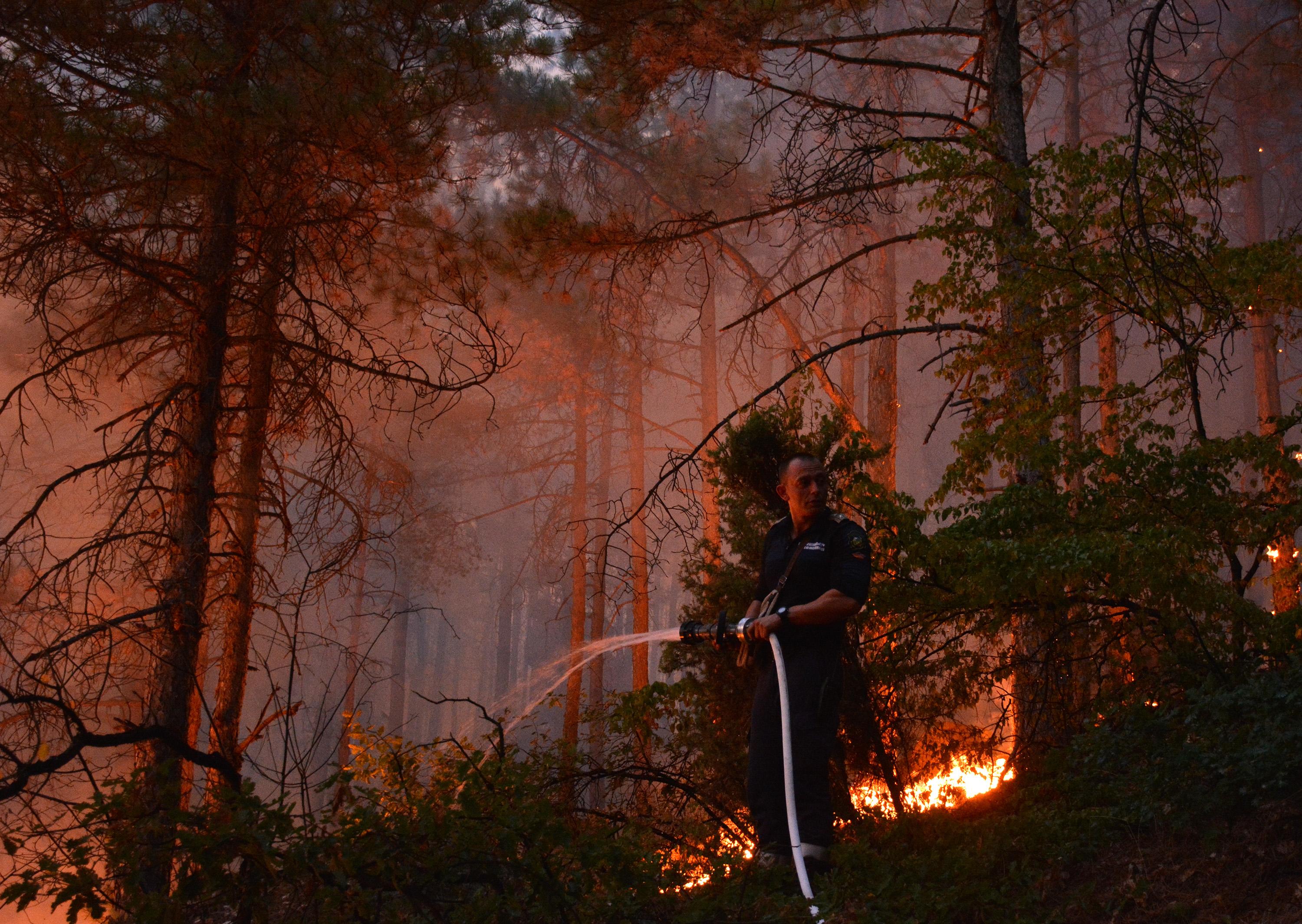 Горски пожар в района на истанбулския квартал Султангази