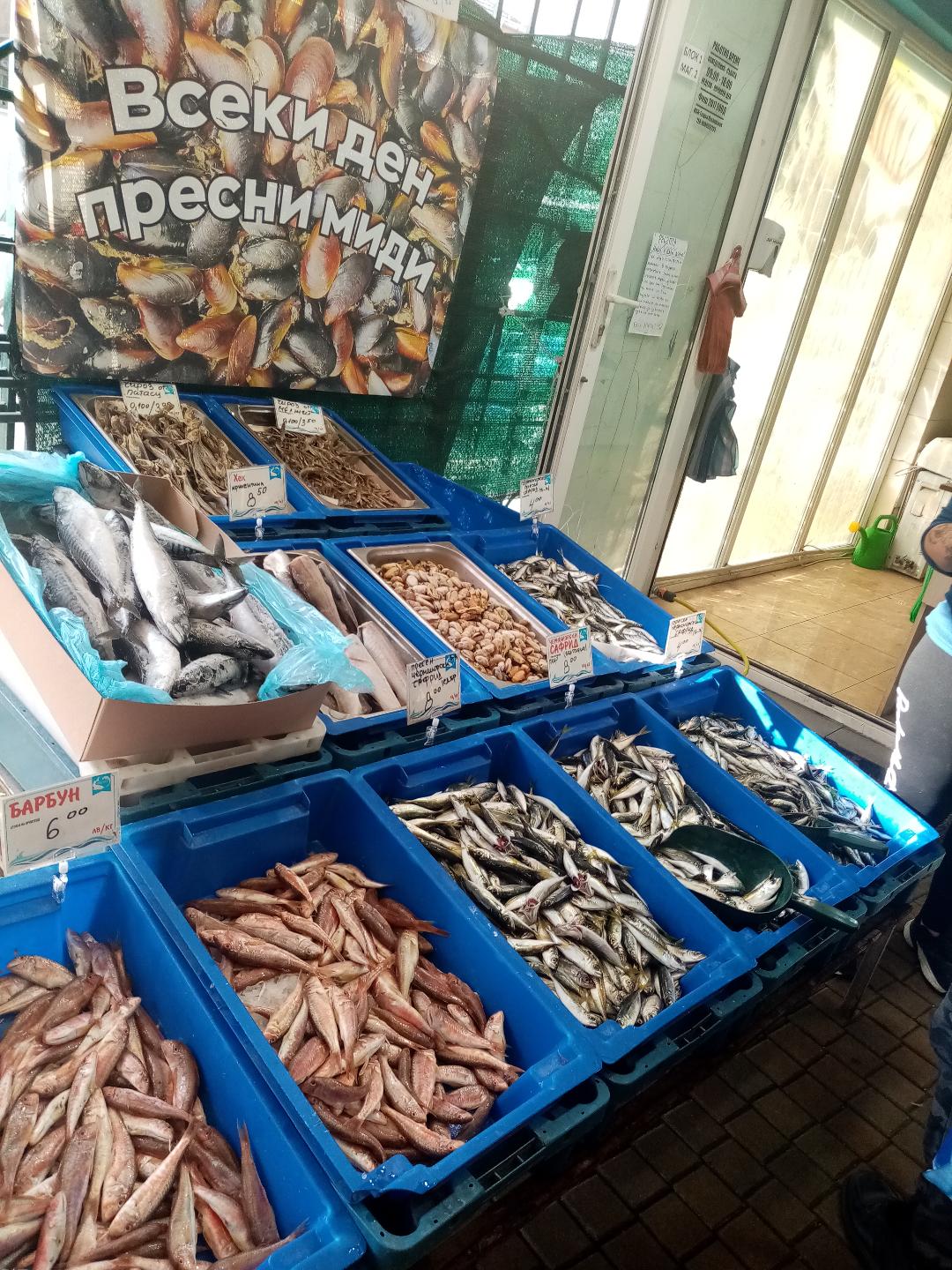 Рибари в залива алармират: Леферът може да прогони паламуда