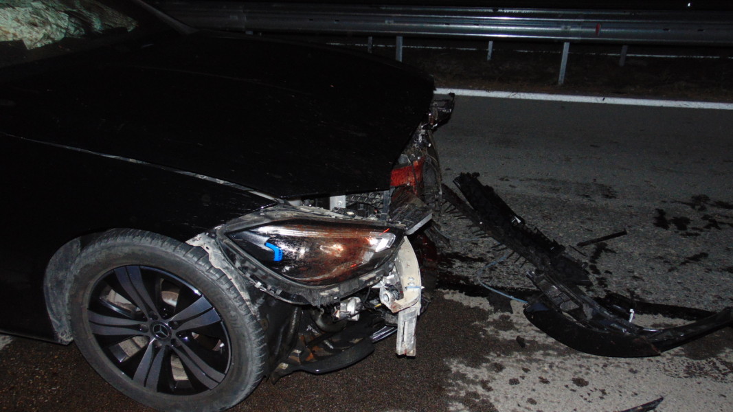 19-годишен шофьор удари диво прасе на "Хемус"